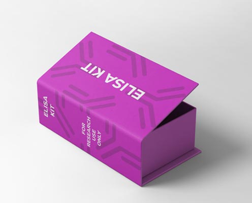 Human stem cell factor/Mast cell Growth factor (SCF/MGF) ELISA kit Human stem cell factor/Mast cell Growth factor (SCF/MGF) ELISA kit